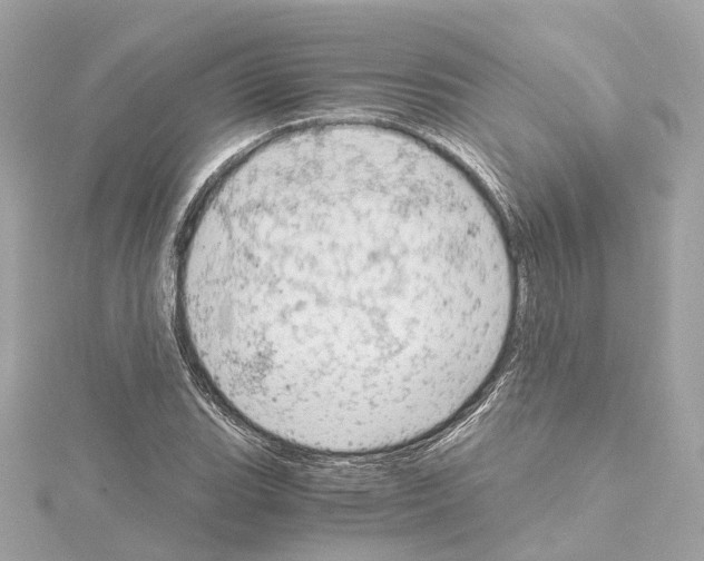 X0000114431119200911271612