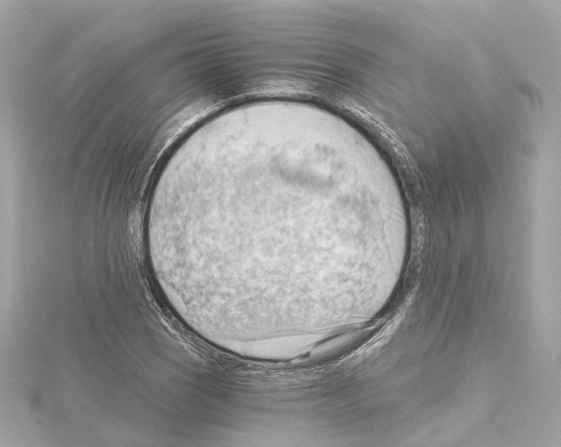 X0000114431121200911271612