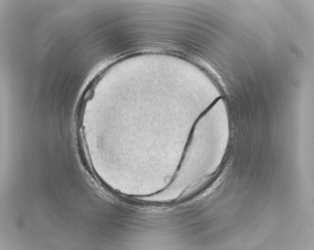 X0000114431122200911271612