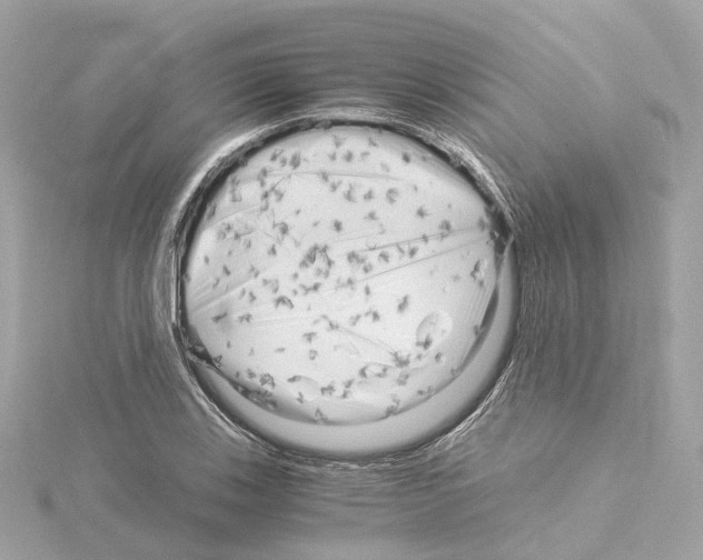 X0000114431123200911271612