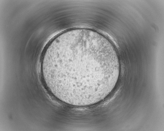 X0000114431125200911271612