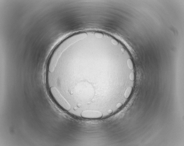 X0000114431126200911271612