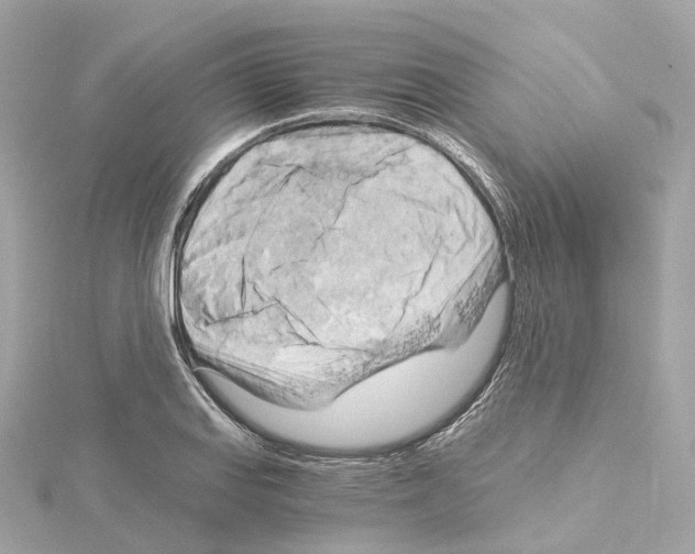 X0000114431127200911271612