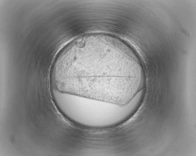 X0000114431129200911271612