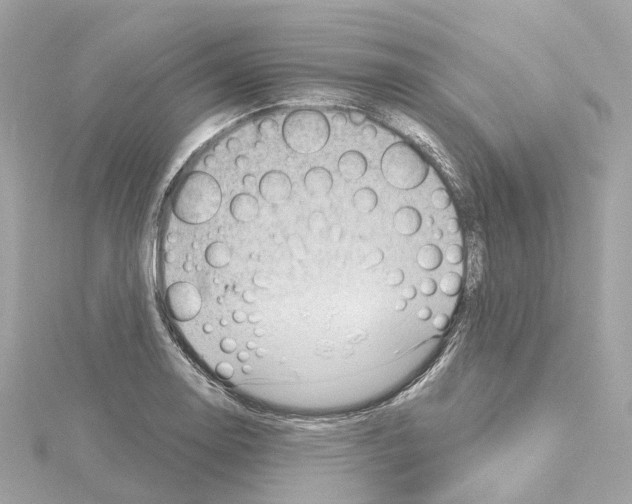 X0000114431130200911271612