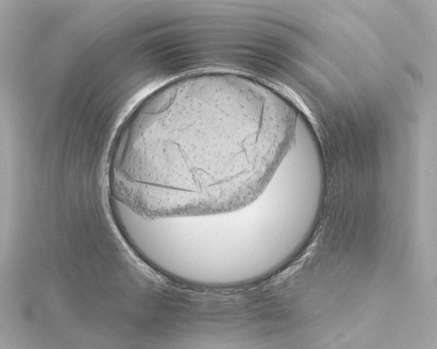 X0000114431133200911271612