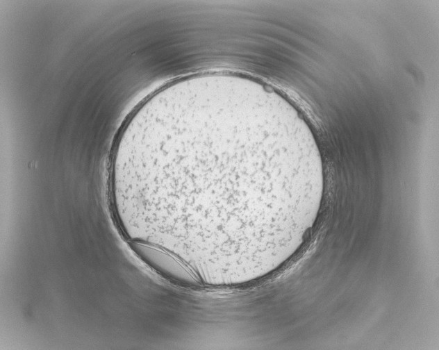 X0000114431134200911271612