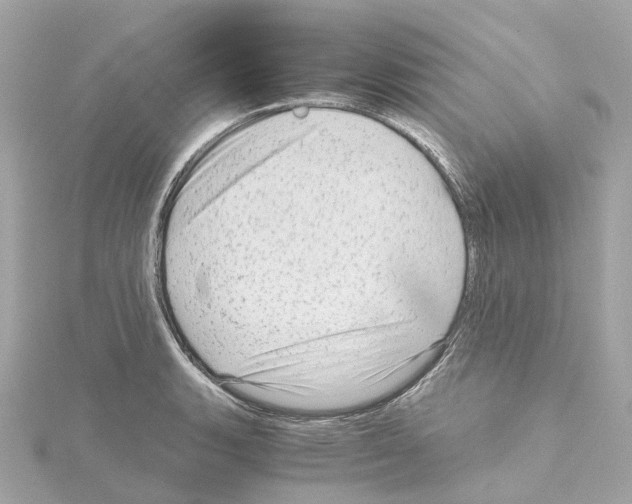 X0000114431135200911271612