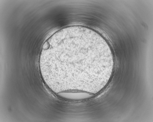 X0000114431137200911271612