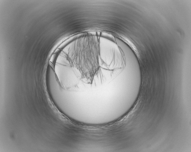 X0000114431138200911271612