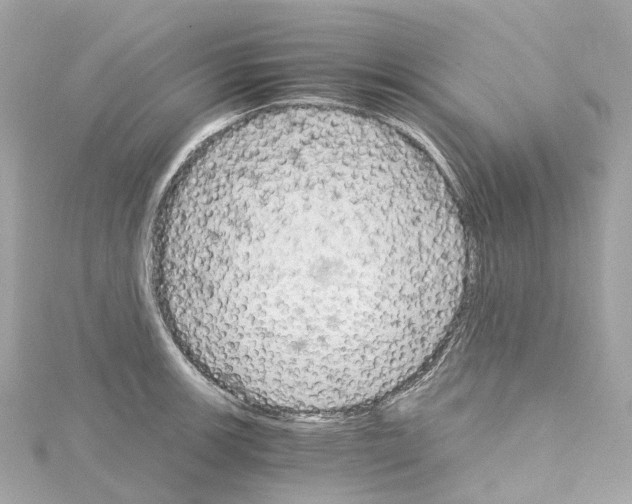 X0000114431139200911271612