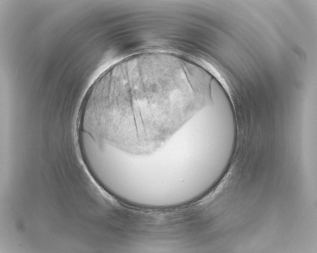 X0000114431141200911271612