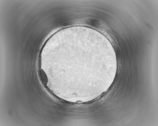 X0000114431142200911271612