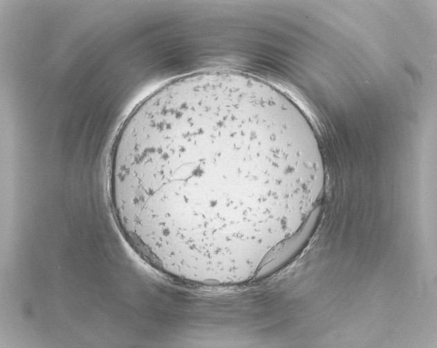 X0000114431143200911271612