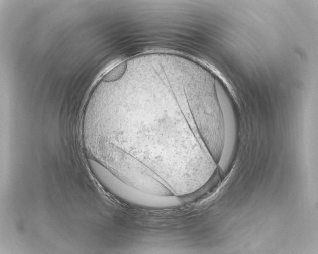 X0000114431145200911271612