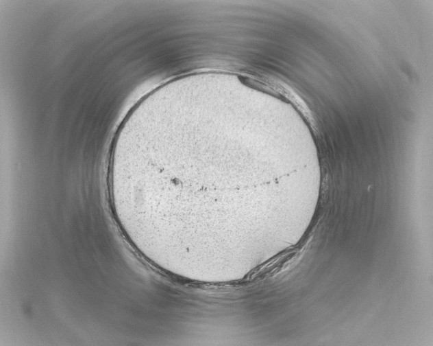 X0000114431146200911271612