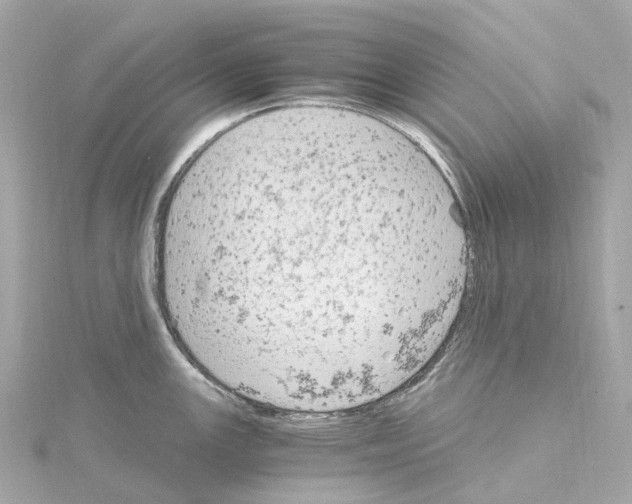 X0000114431147200911271612