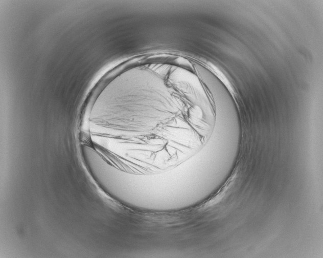 X0000114431149200911271612