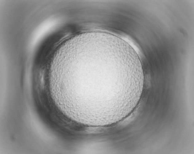 X0000114431150200911271612