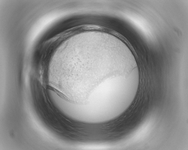 X0000114431151200911271612