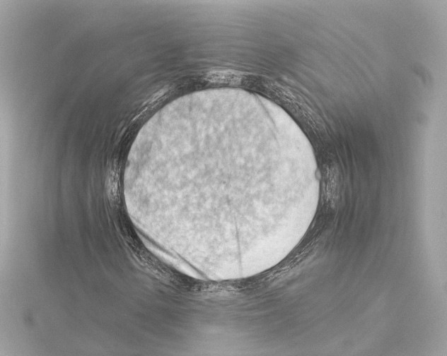 X0000114431154200911271612