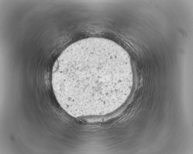 X0000114431156200911271611