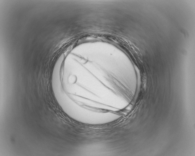 X0000114431157200911271611