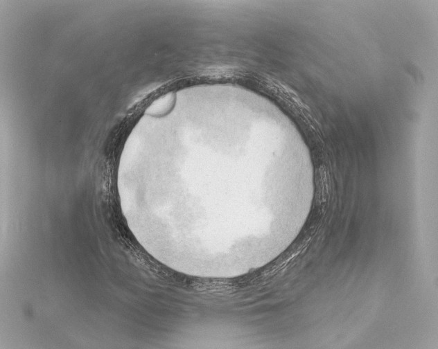 X0000114431158200911271611