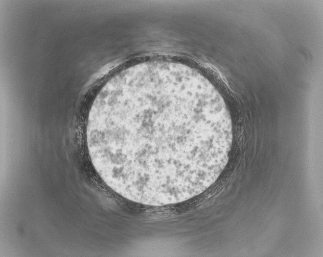 X0000114431159200911271611