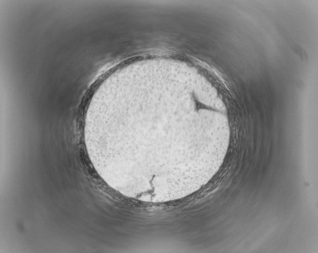 X0000114431160200911271611