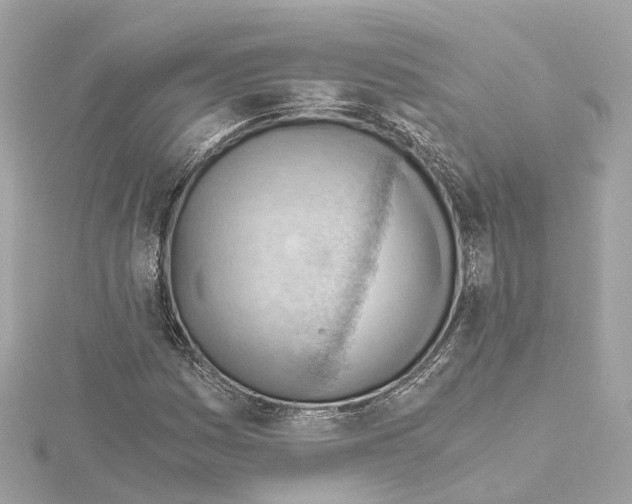 X0000114431161200911271611