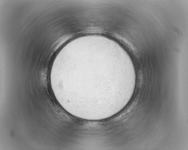 X0000114431162200911271611