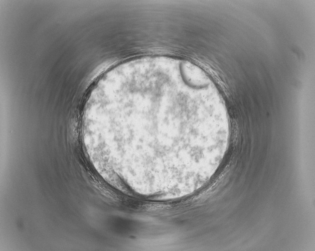 X0000114431163200911271611