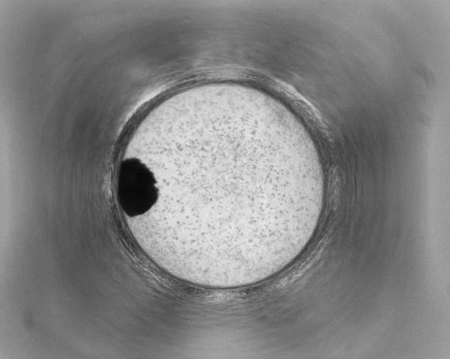 X0000114431166200911271611