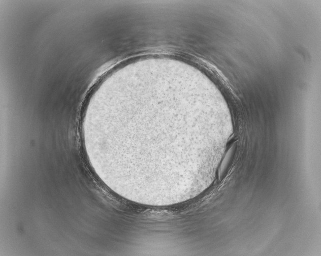 X0000114431168200911271611