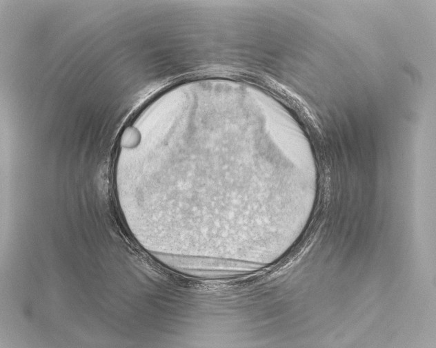 X0000114431170200911271611