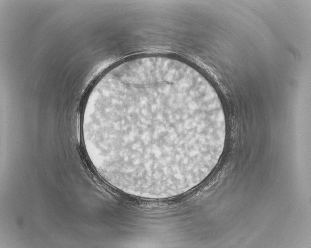 X0000114431171200911271611