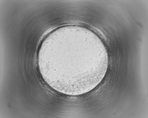 X0000114431172200911271611