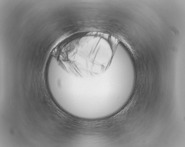 X0000114431173200911271611