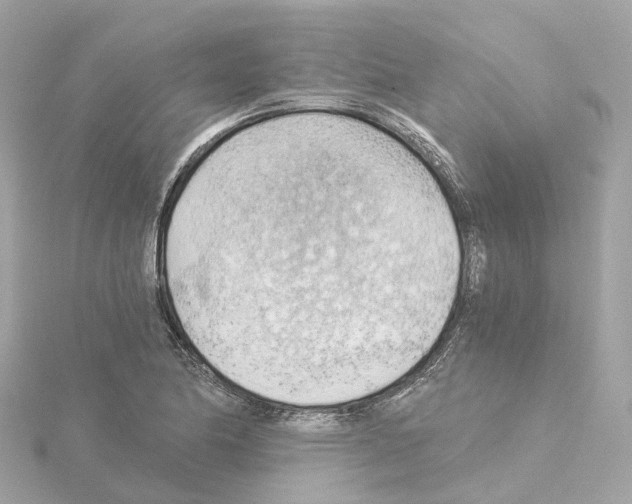 X0000114431174200911271611