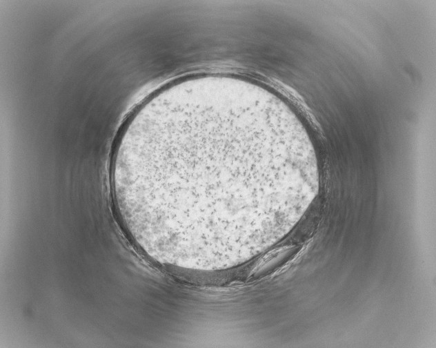 X0000114431176200911271611