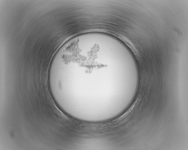 X0000114431177200911271611