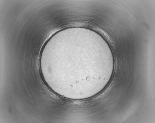 X0000114431178200911271611