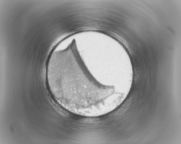 X0000114431179200911271611