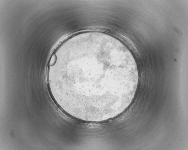 X0000114431180200911271611