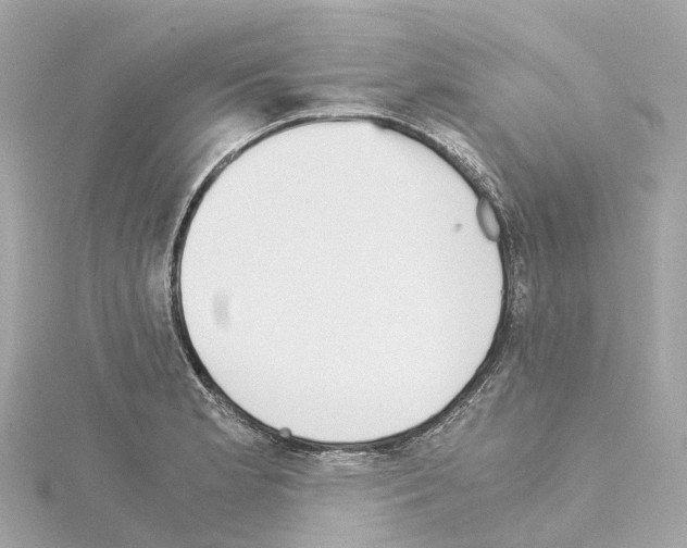 X0000114431181200911271611