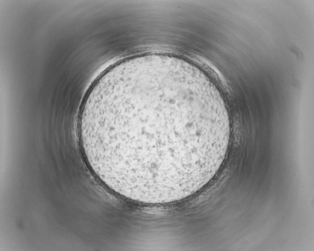 X0000114431182200911271611