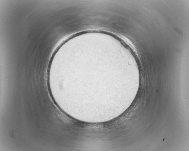 X0000114431183200911271611