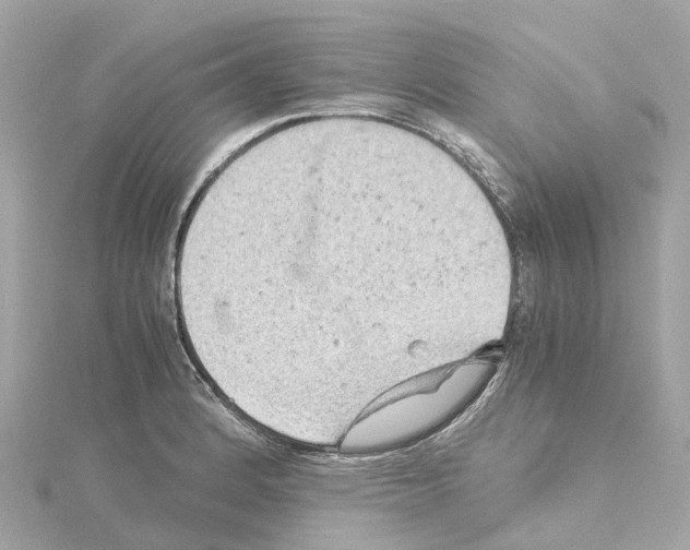 X0000114431184200911271611