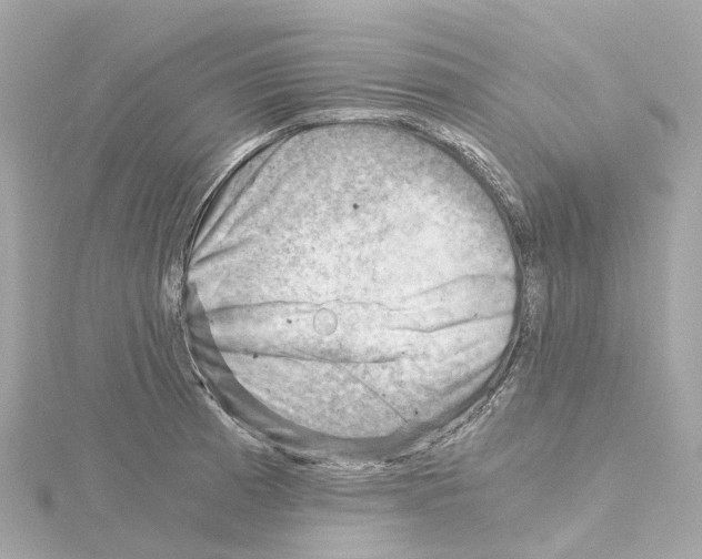 X0000114431185200911271611